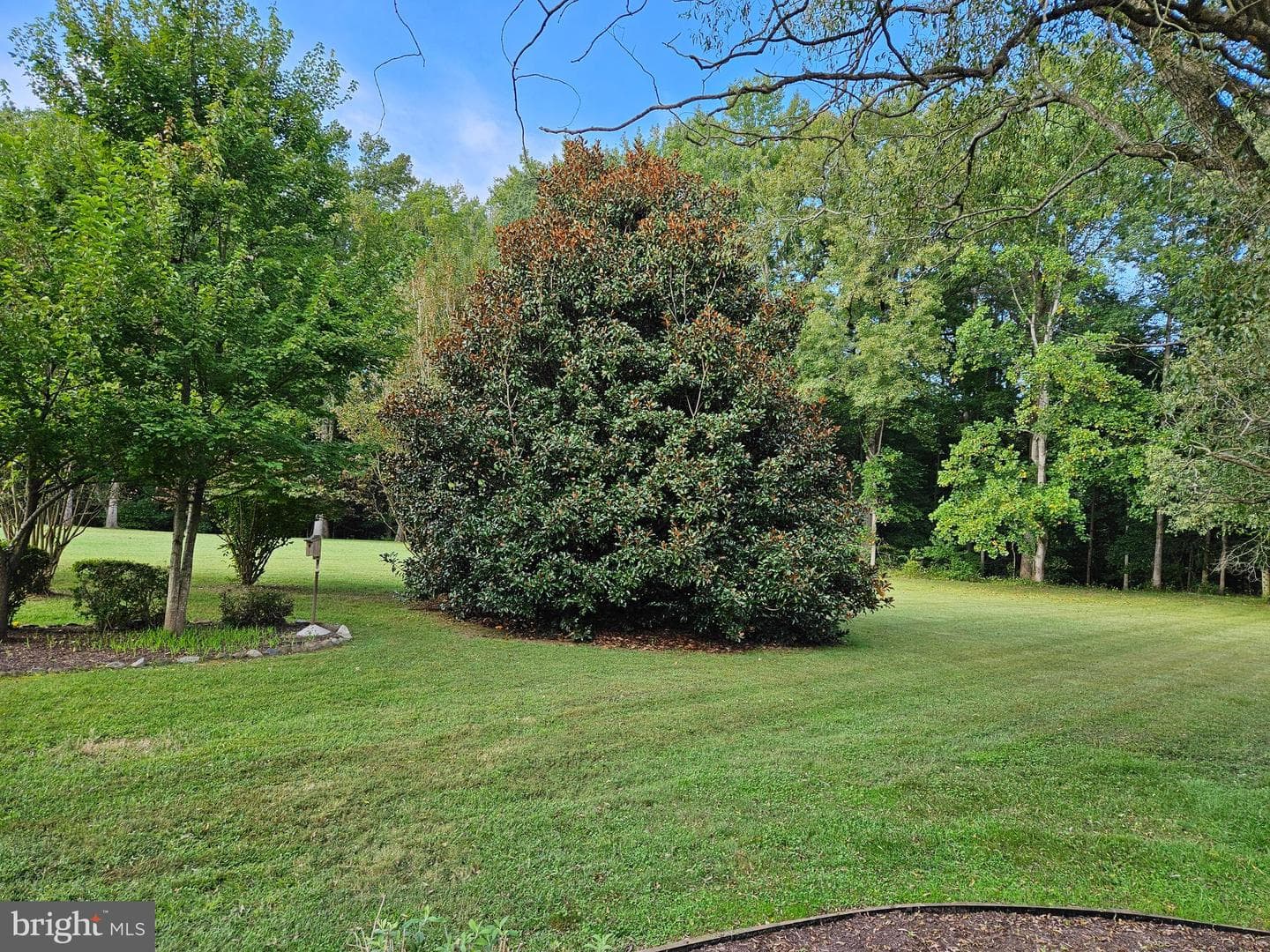 24324 Asbury Drive photo 45