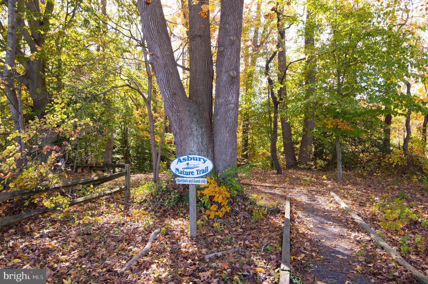 24276 Asbury Drive photo 43
