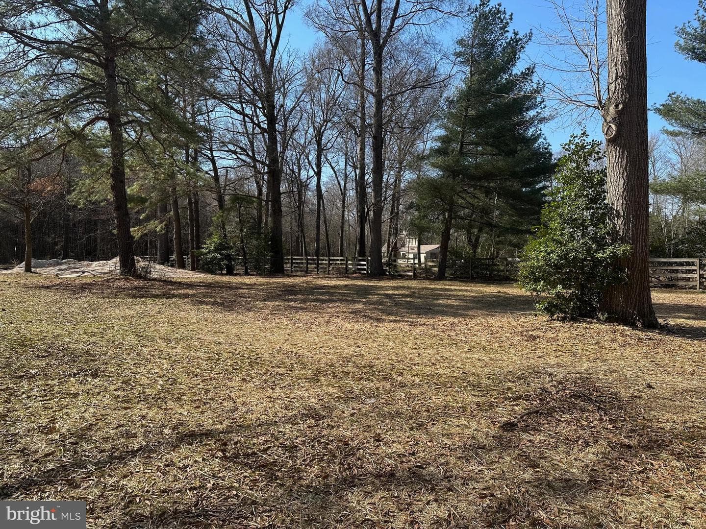 23629 Willow Pond Road photo 12
