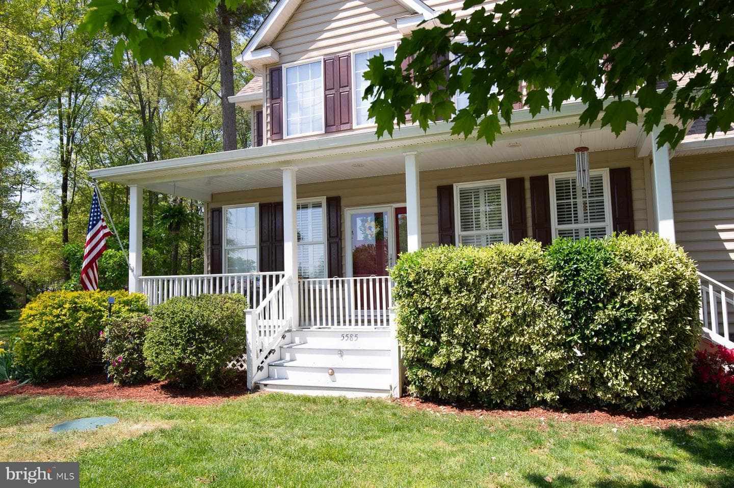 5585 Harmony Woods Drive photo 4