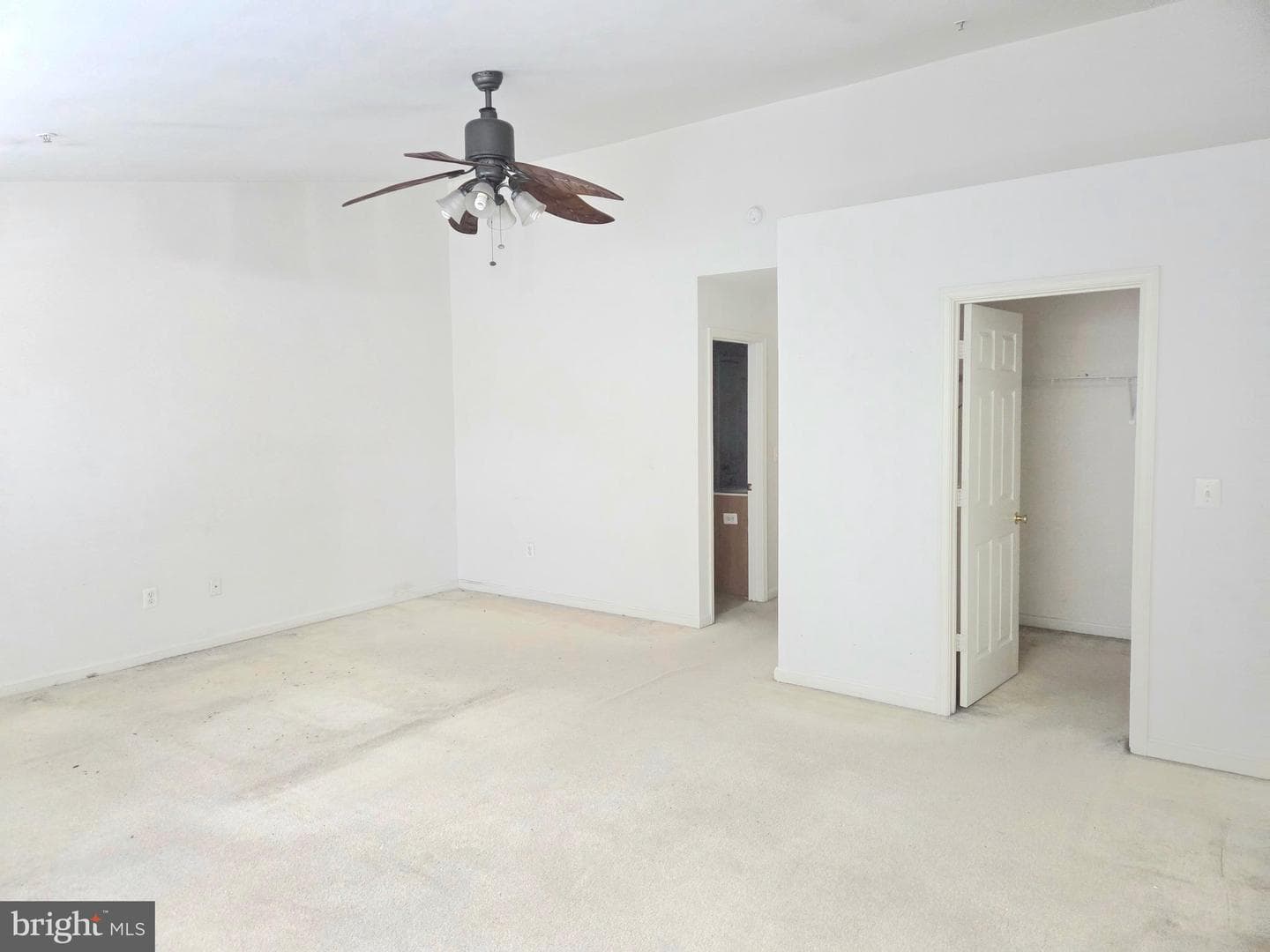 1507 Blue Heron Dr photo 19