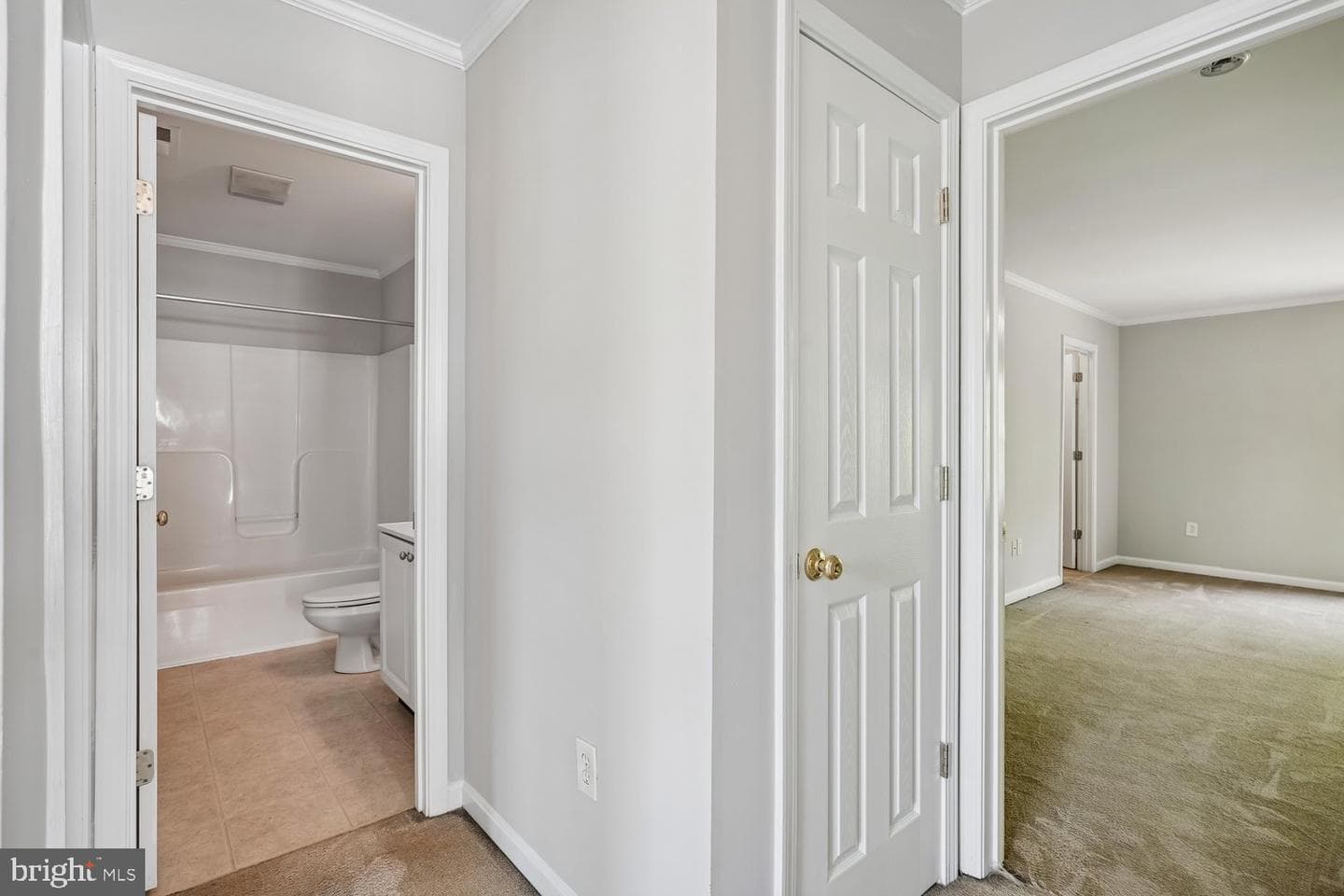 411 Mallard Drive photo 28