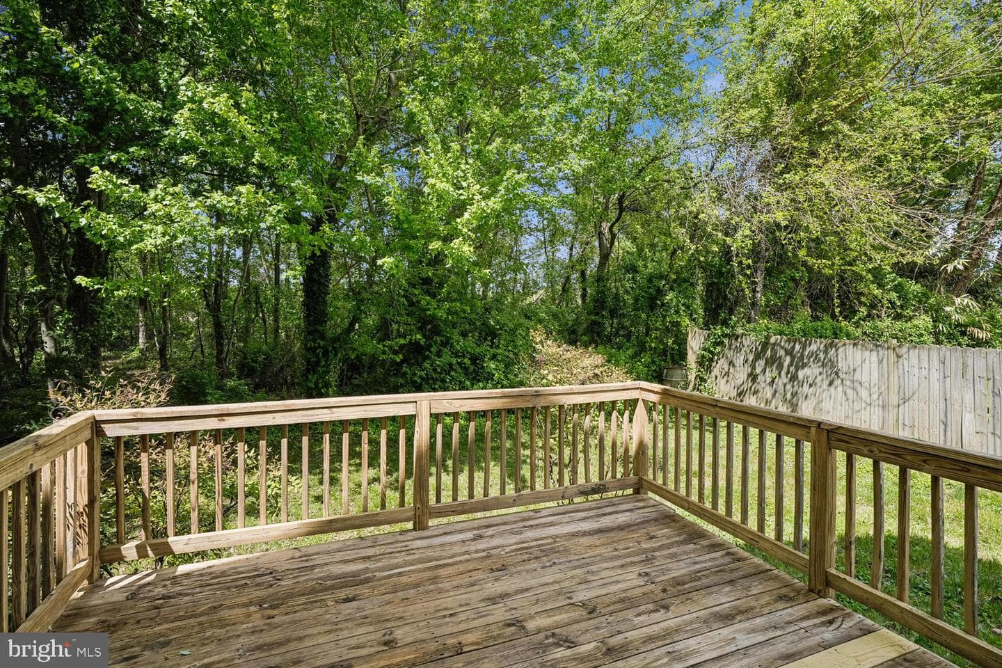 411 Mallard Drive photo 36