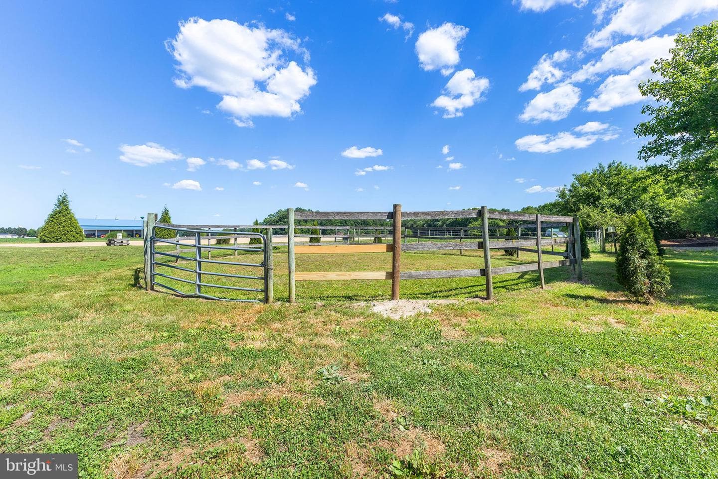12397 Ridgely Road photo 24