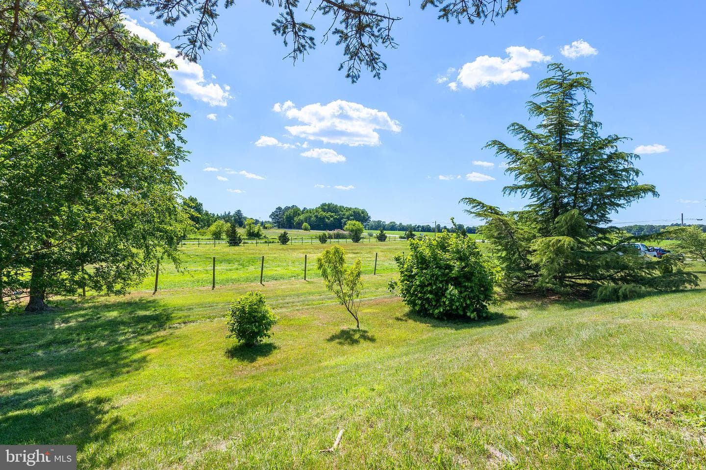 12397 Ridgely Road photo 28