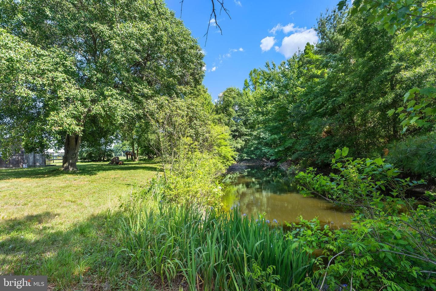 12397 Ridgely Road photo 34