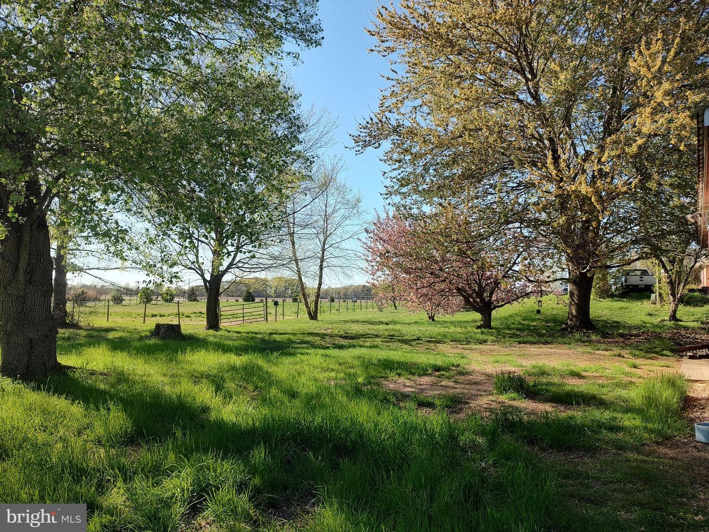 12397 Ridgely Road photo 55