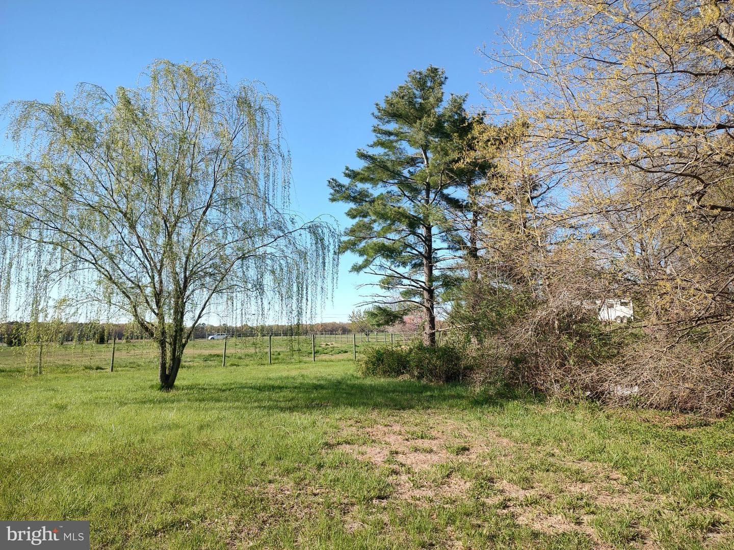 12397 Ridgely Road photo 59