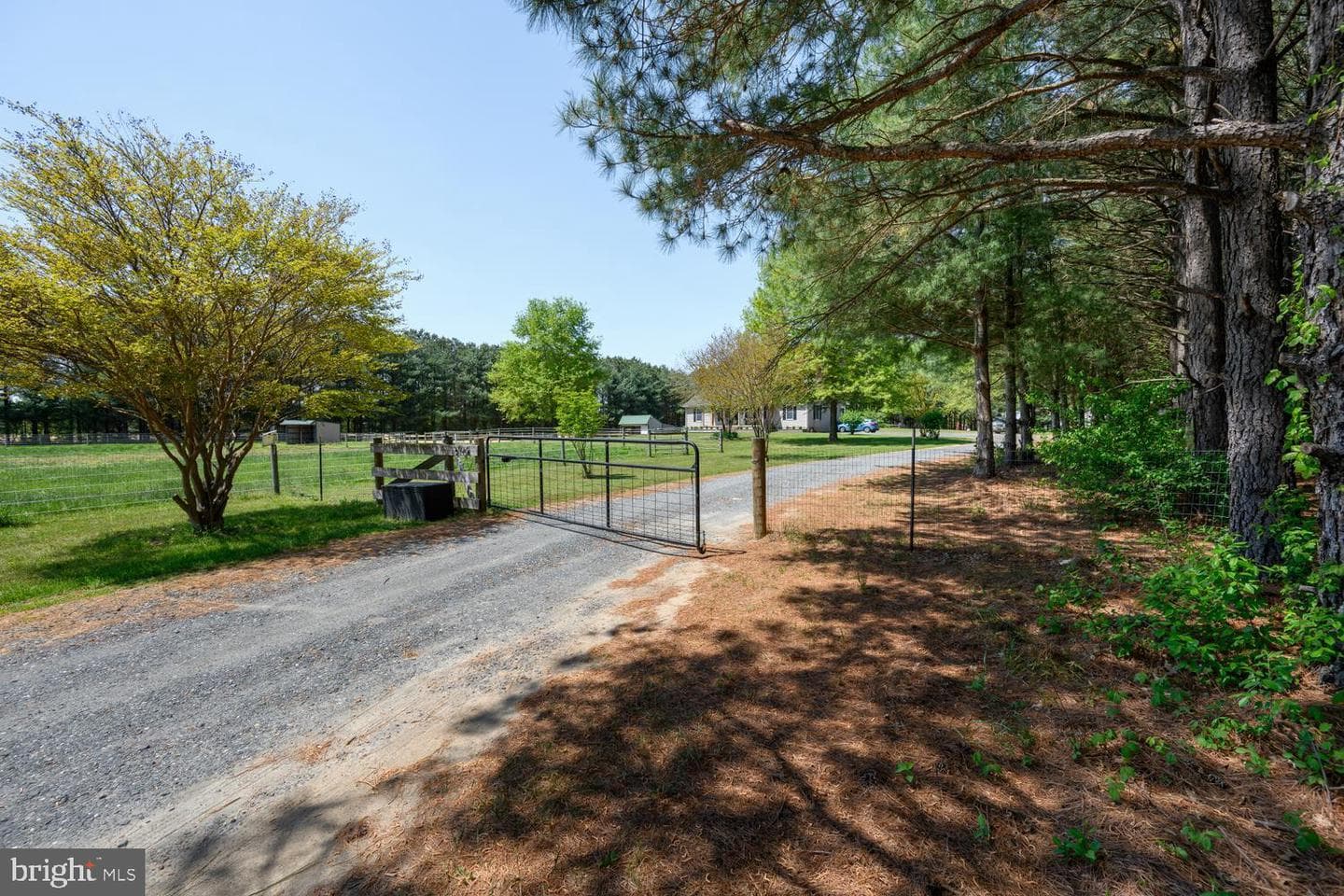12104 Holly Road photo 40