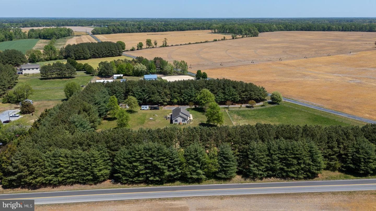 12104 Holly Road photo 6