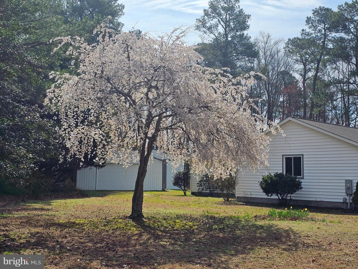 3547 Prchal Road photo 80