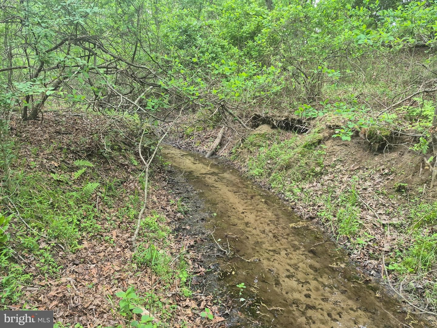 9472 Quail Run Road photo 23