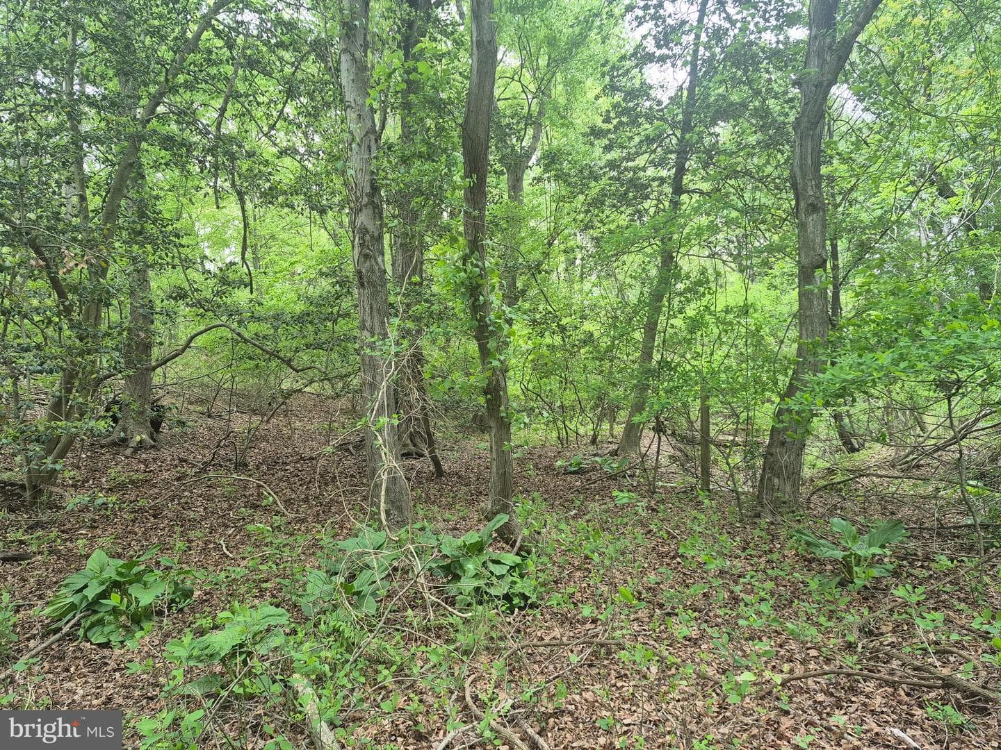 9472 Quail Run Road photo 24