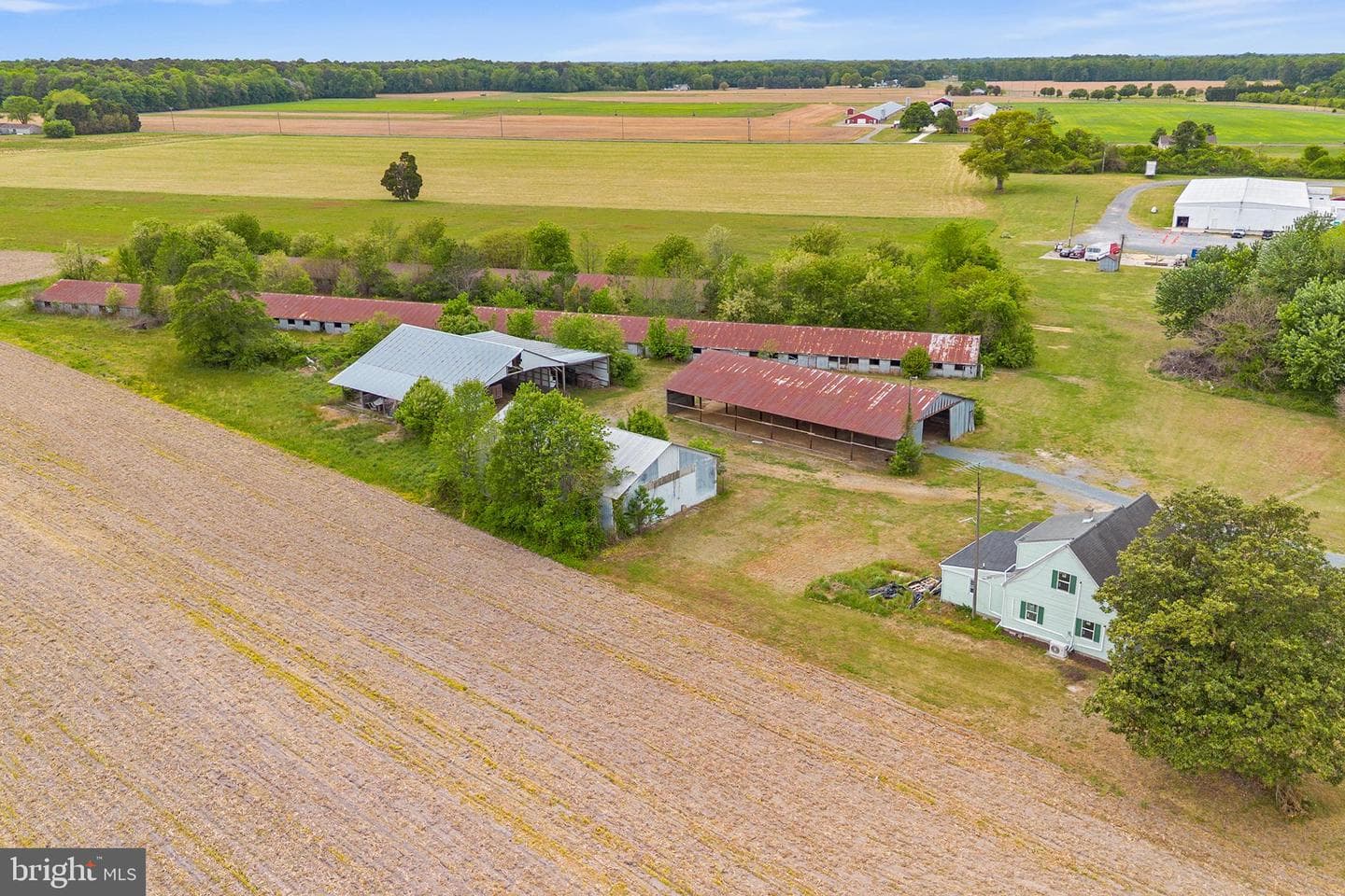 25699 Auction Road photo 42