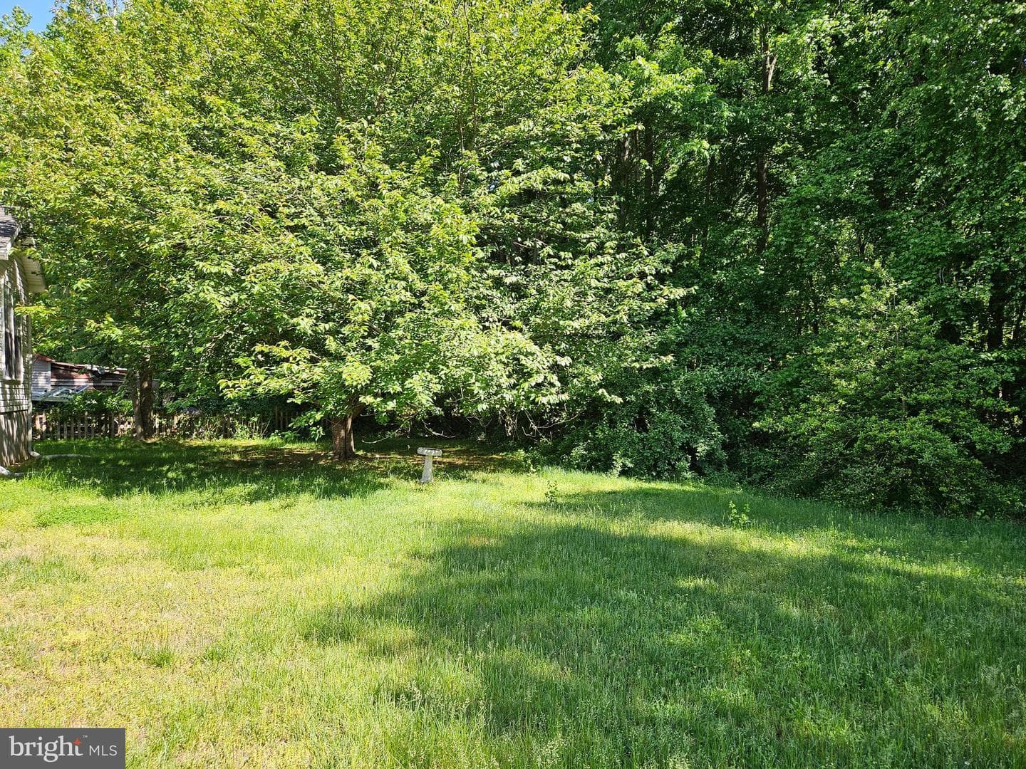 1308 Chesapeake Dr photo 19