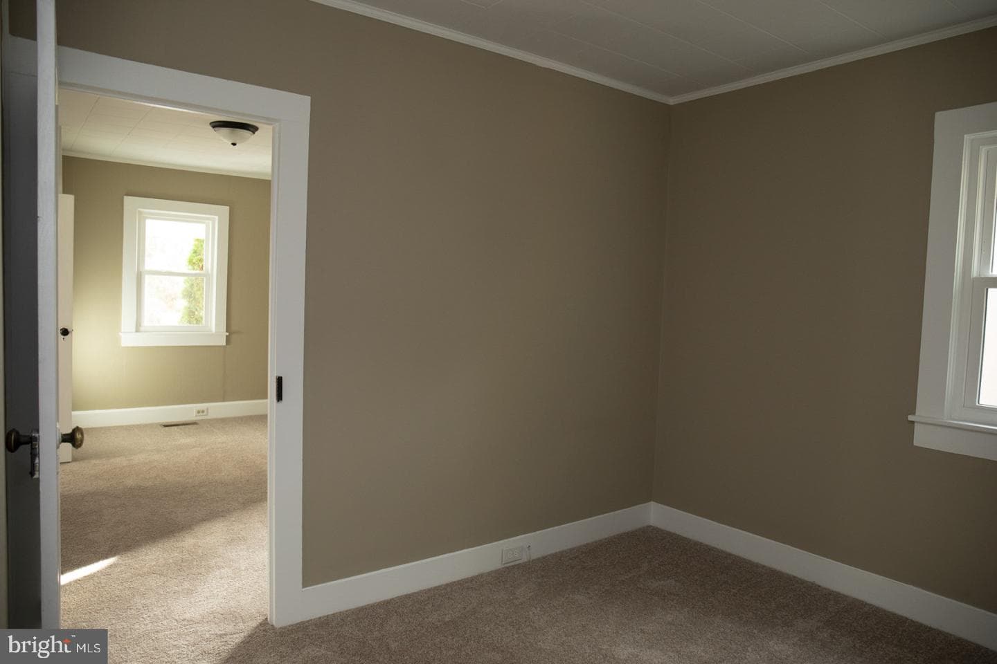 313 Holt Street photo 10
