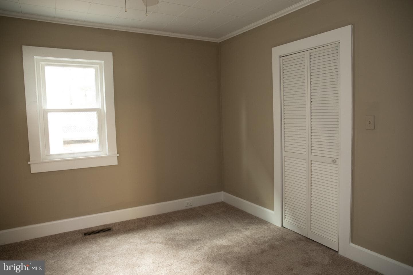 313 Holt Street photo 12