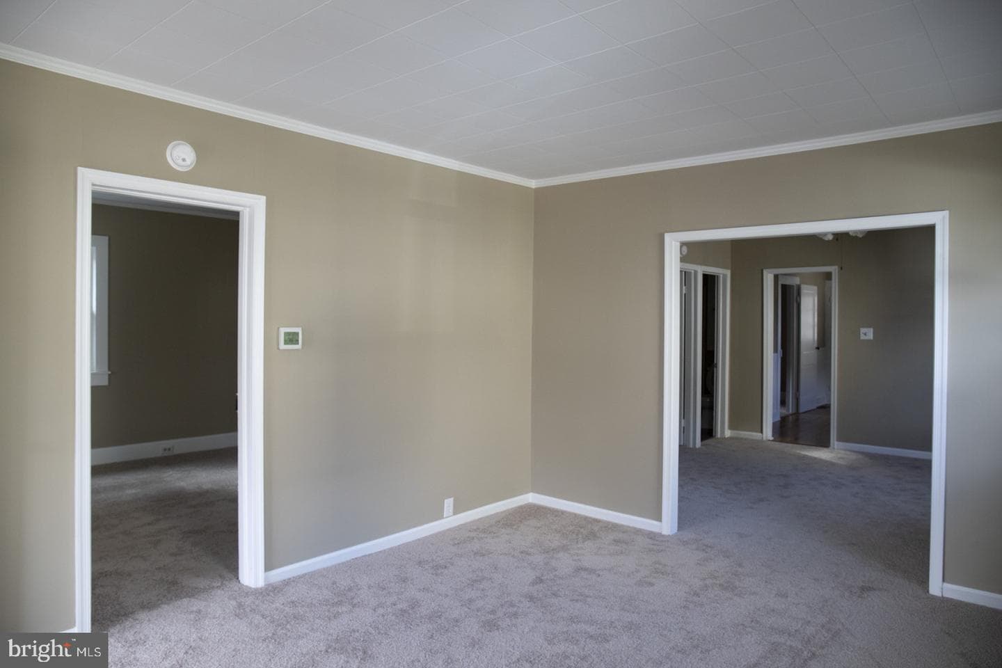 313 Holt Street photo 17