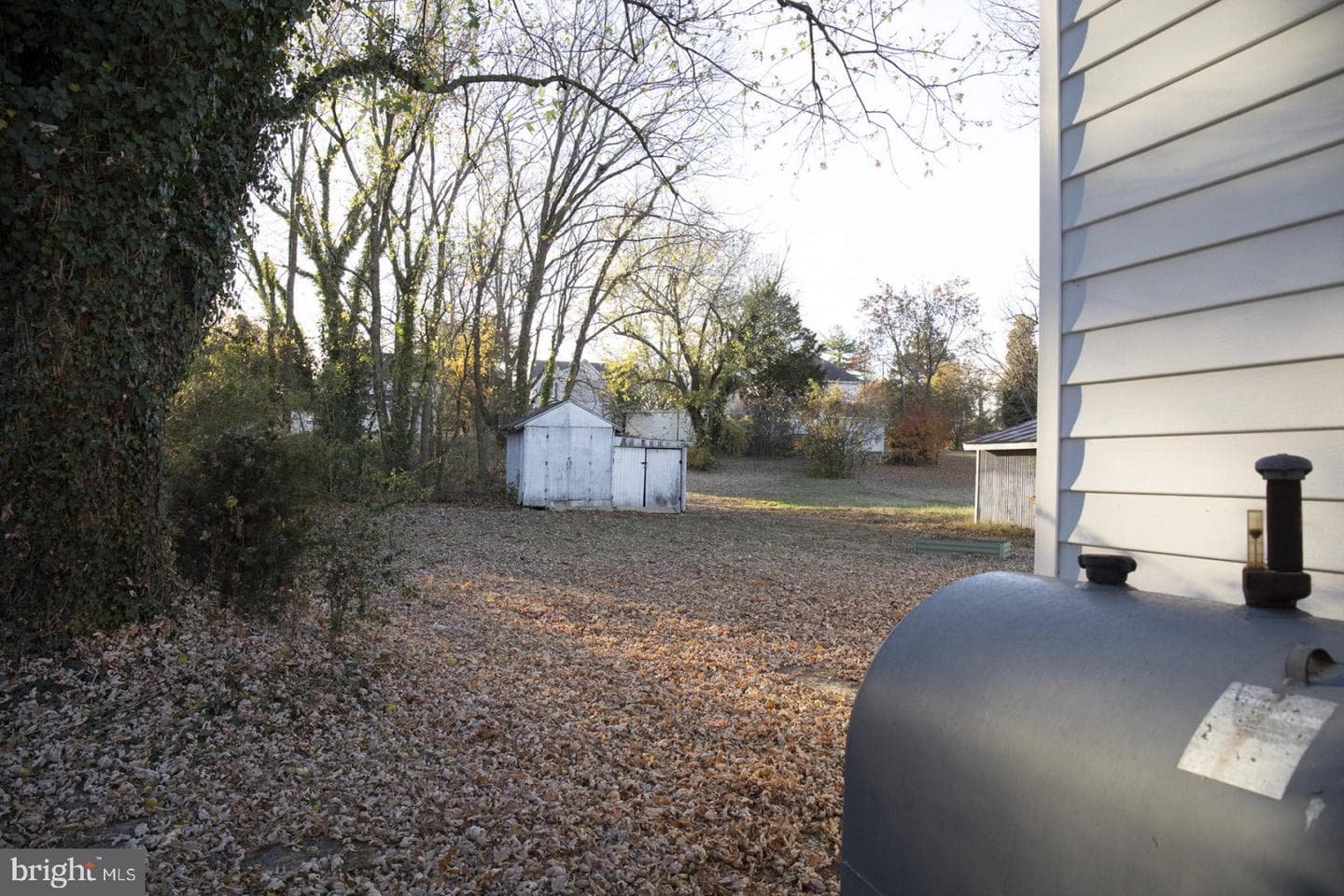 313 Holt Street photo 2