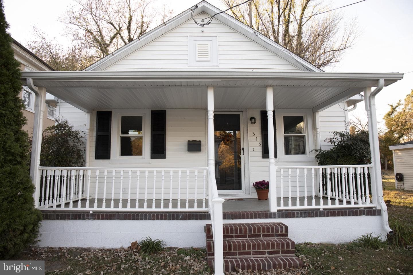 313 Holt Street photo 4
