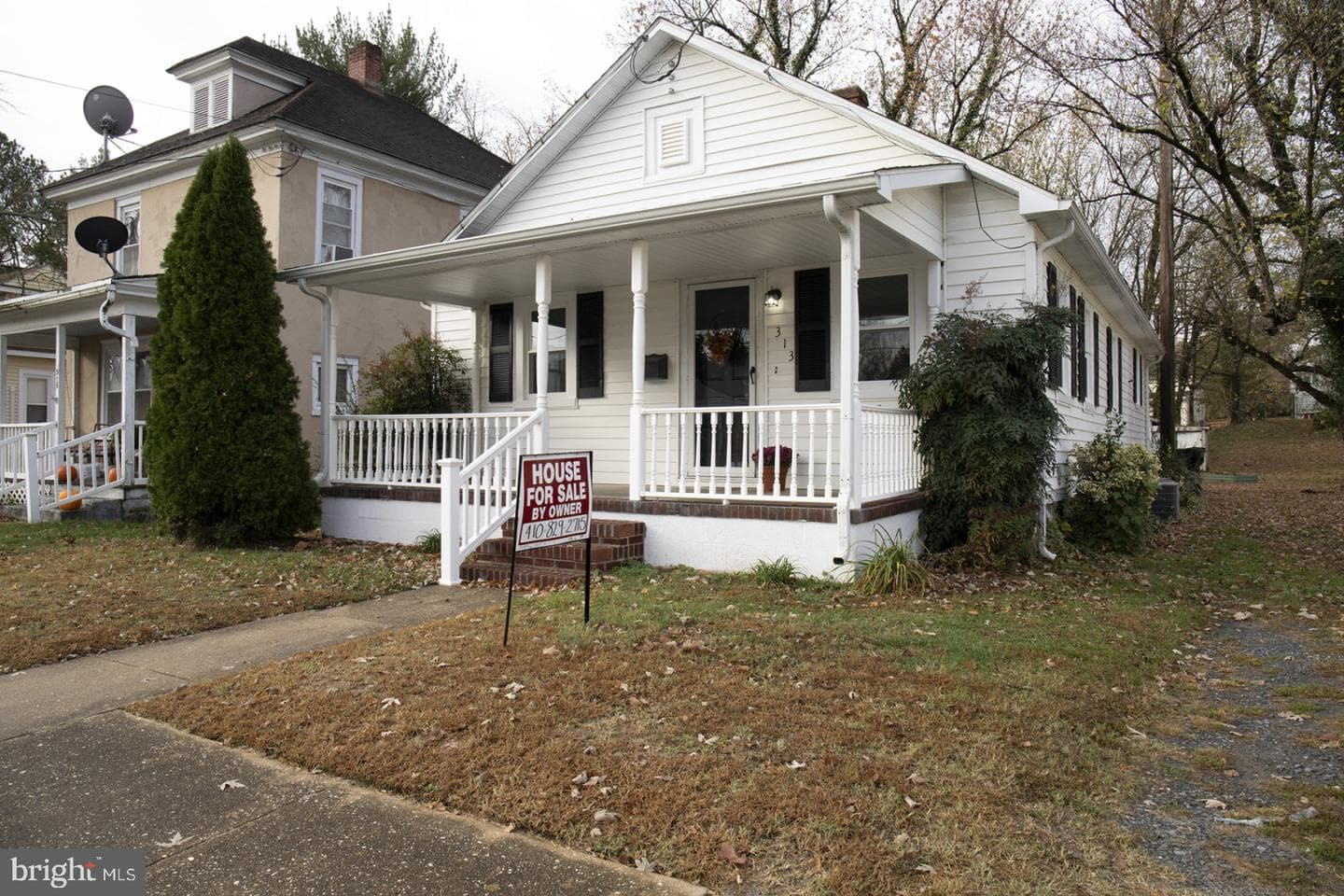 313 Holt Street photo 7
