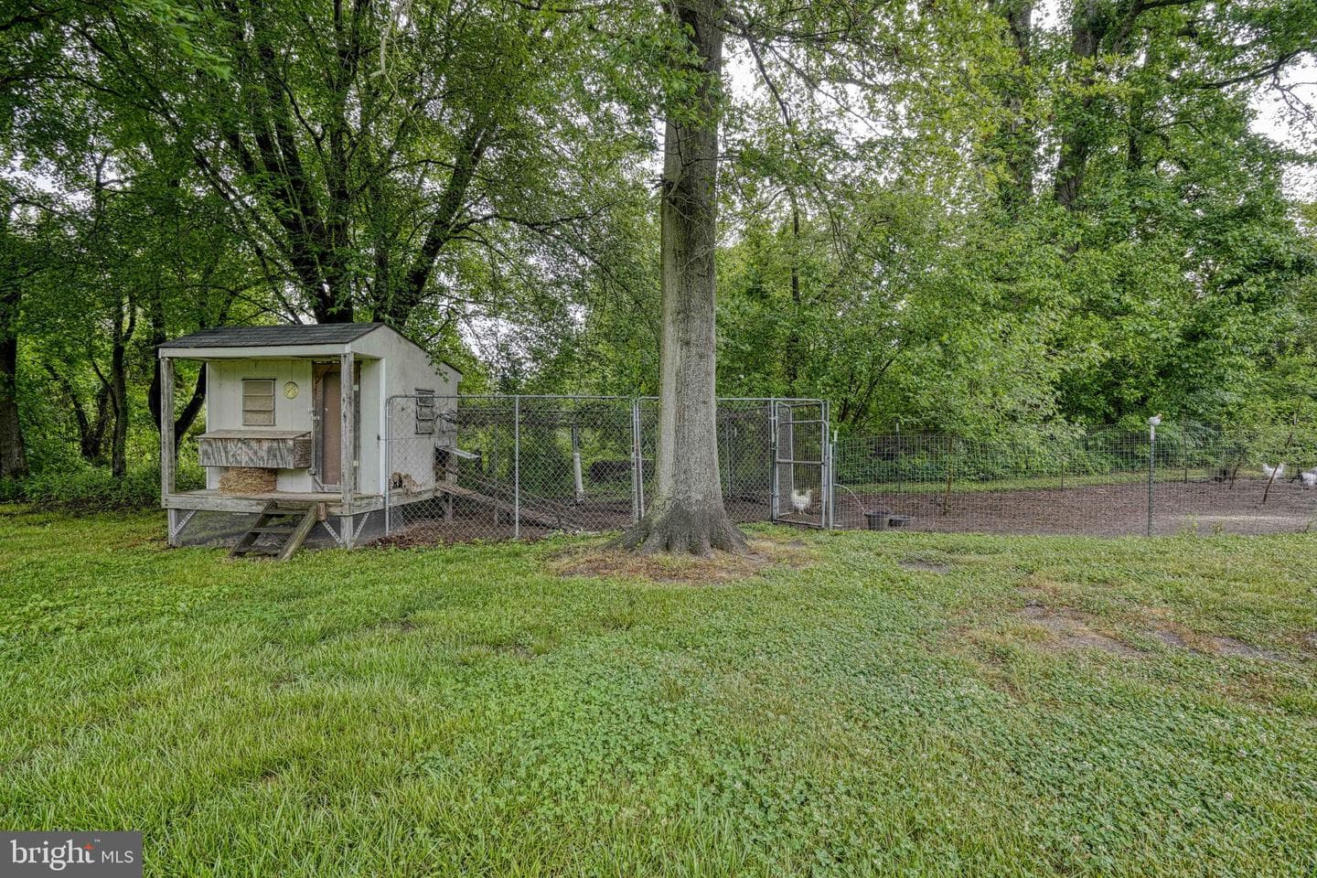 13023 Mason Branch Road photo 8