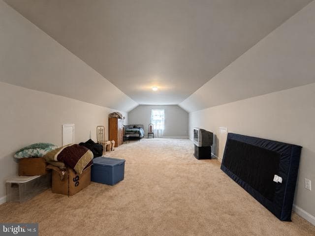1302 Trice Meadows Cir photo 17