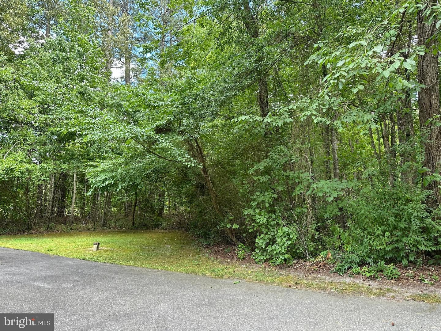 28440 Bloomery Road photo 69
