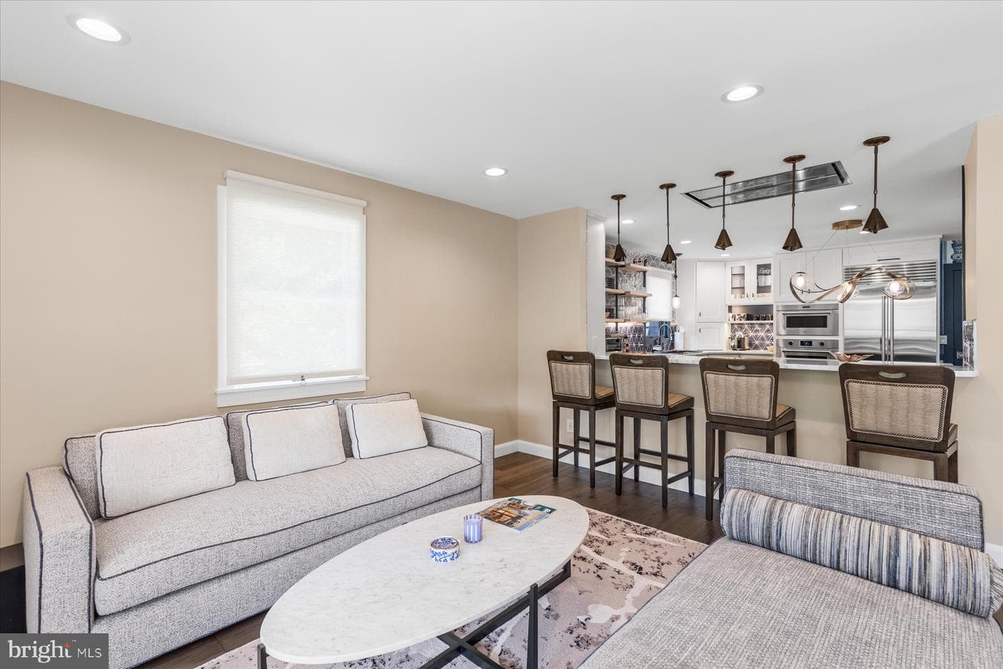 23071 Tuckahoe Springs Drive photo 17