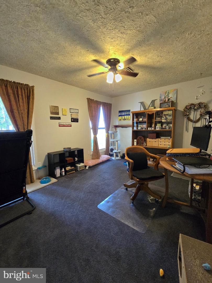 104 Charlotte Avenue photo 35