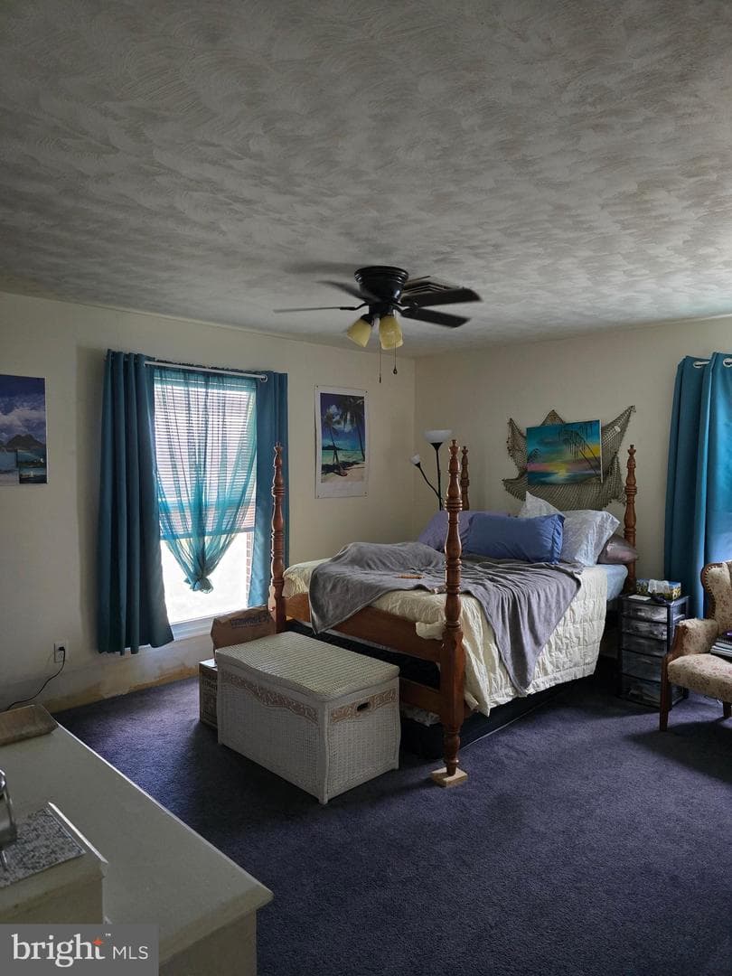 104 Charlotte Avenue photo 36