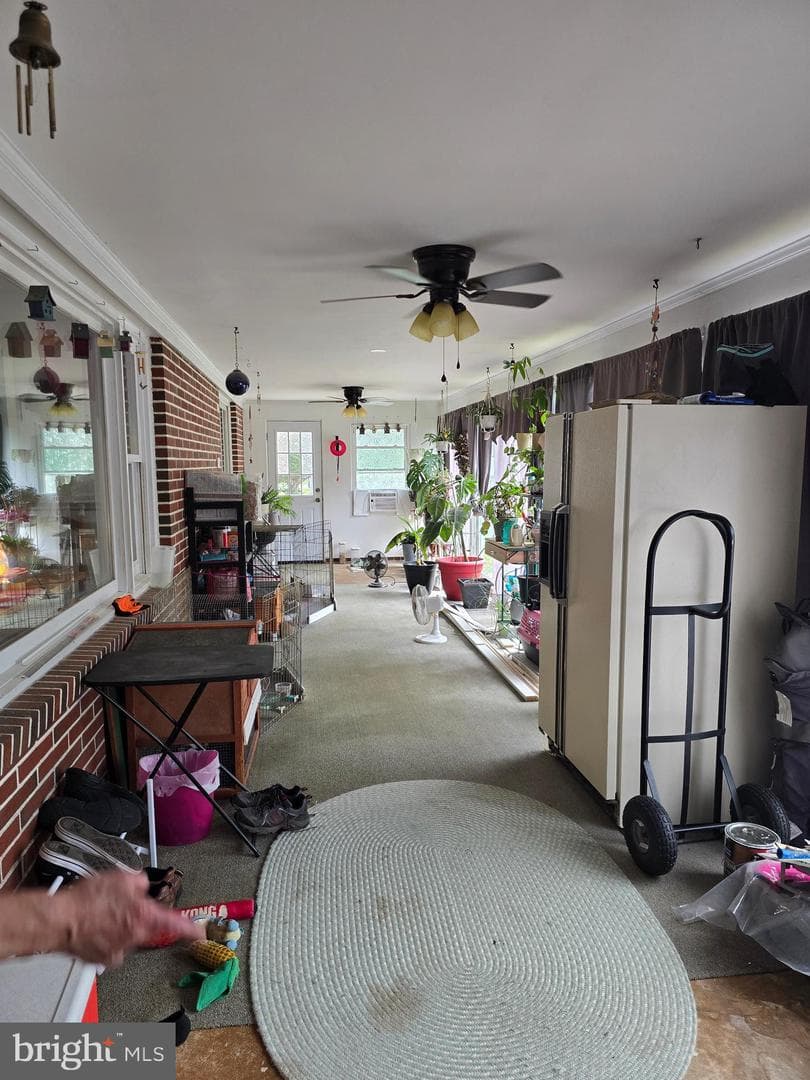 104 Charlotte Avenue photo 48