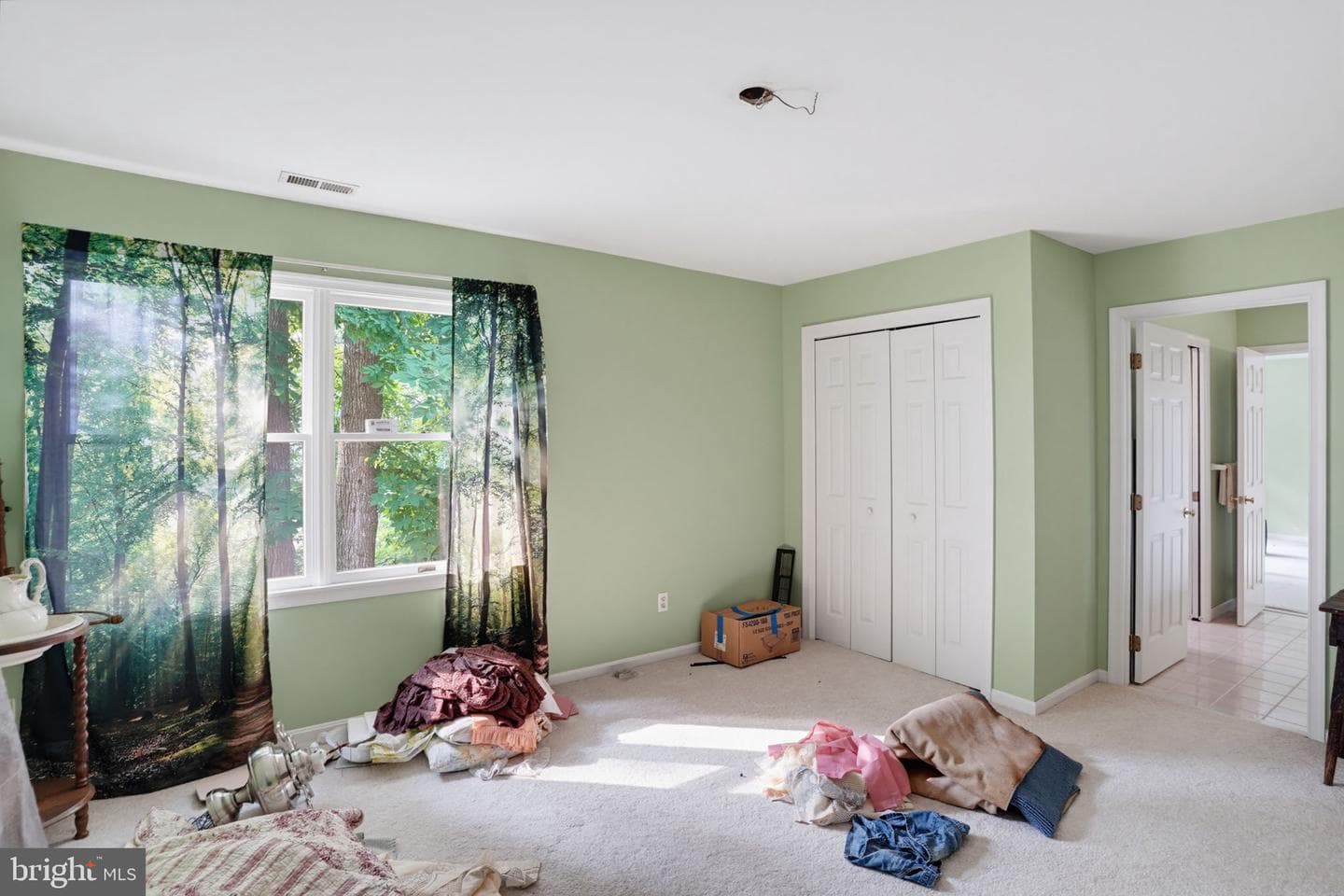 8821 Dorothy Lane photo 77