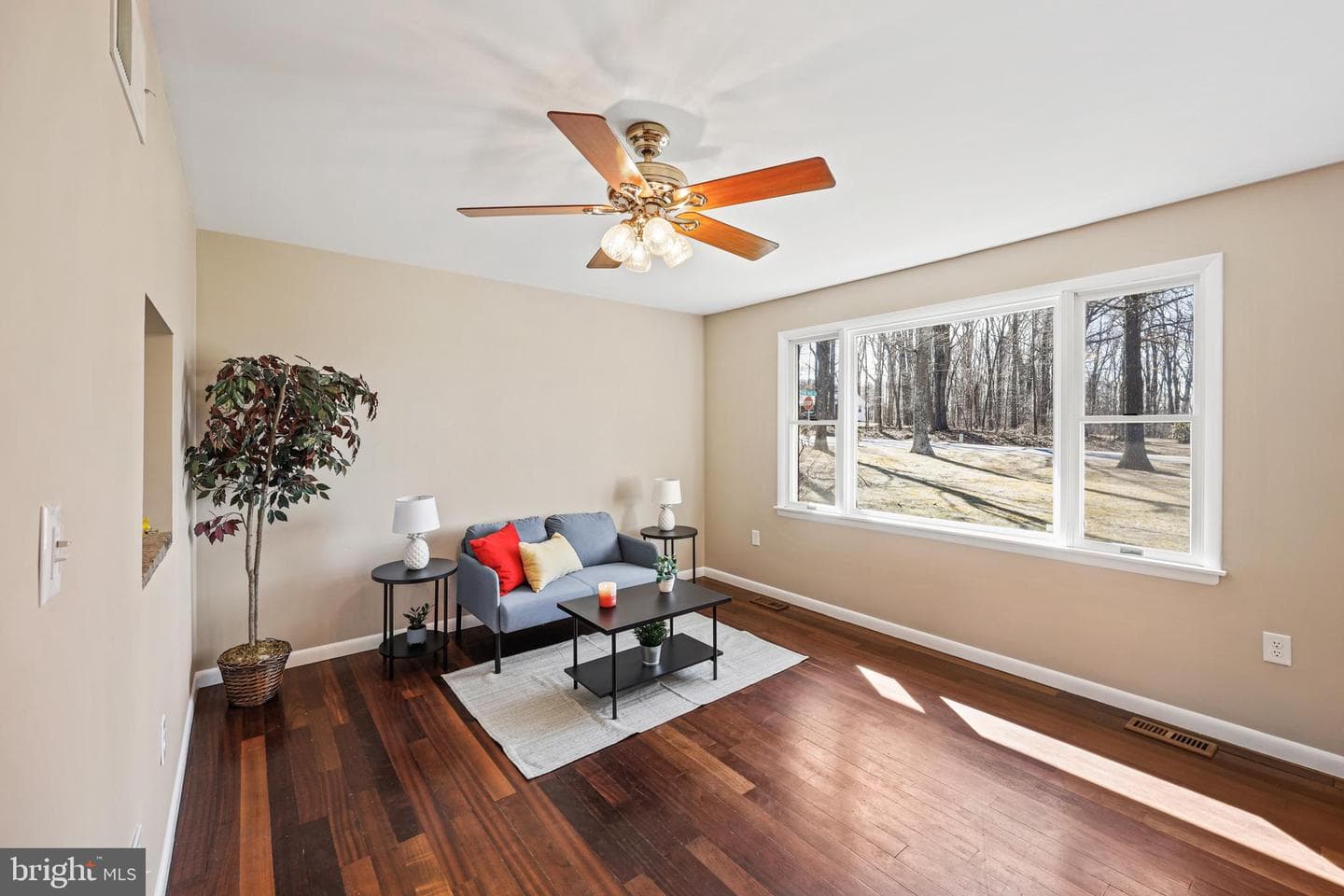 1234 Buckhorn Road photo 5