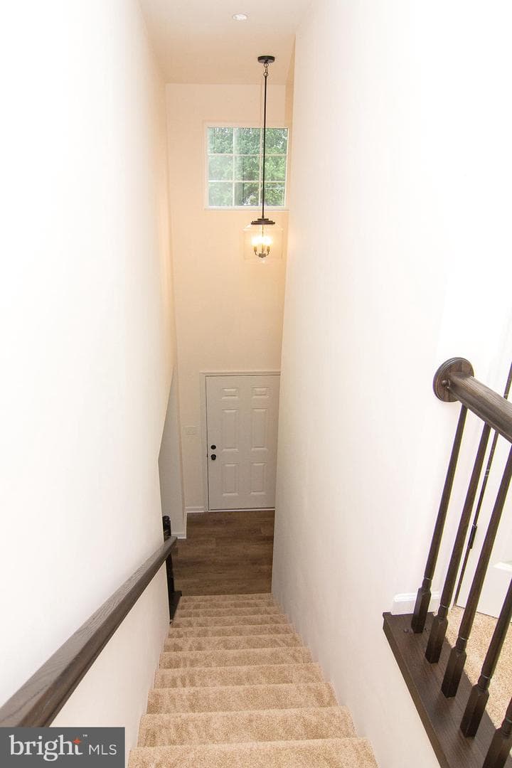 317 Taney Heights Drive photo 14