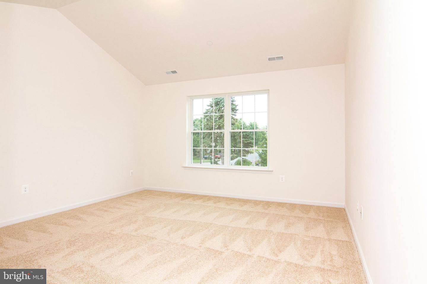 317 Taney Heights Drive photo 15