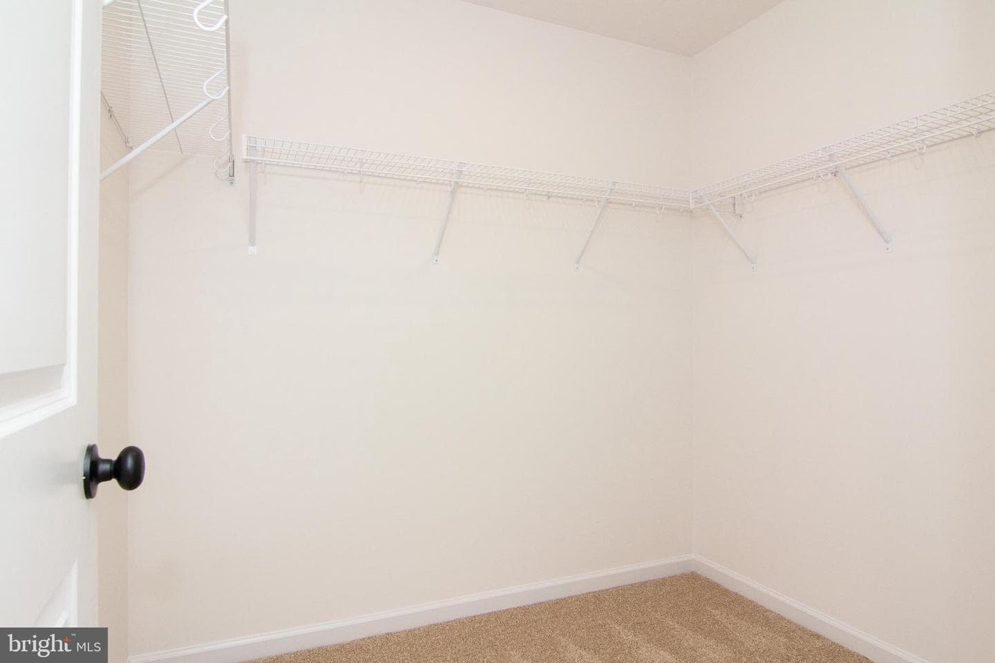 317 Taney Heights Drive photo 19