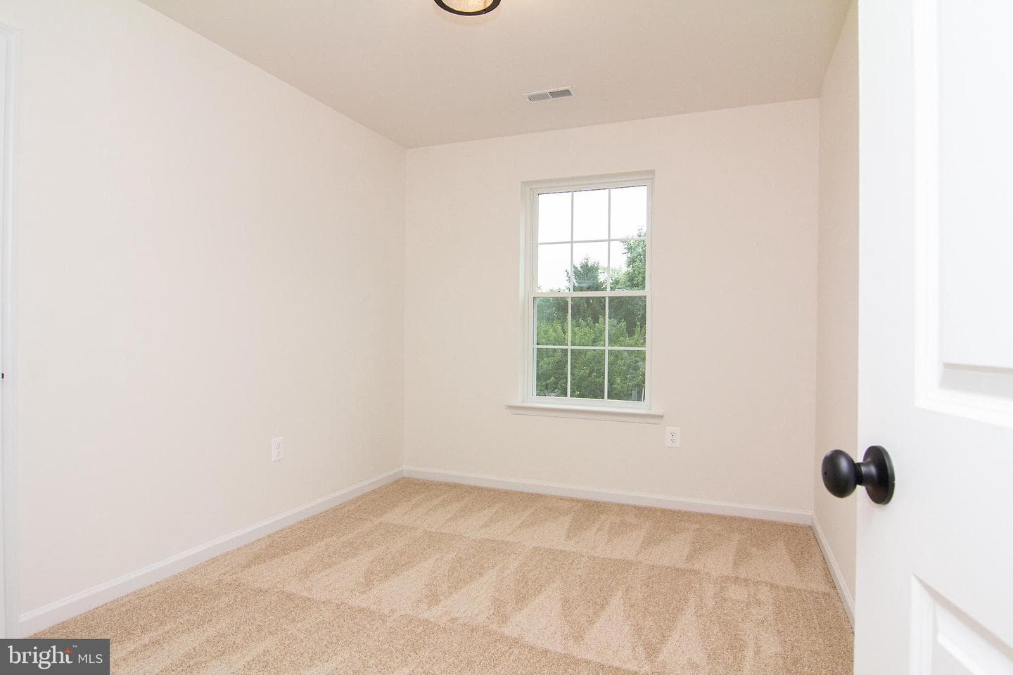 317 Taney Heights Drive photo 22