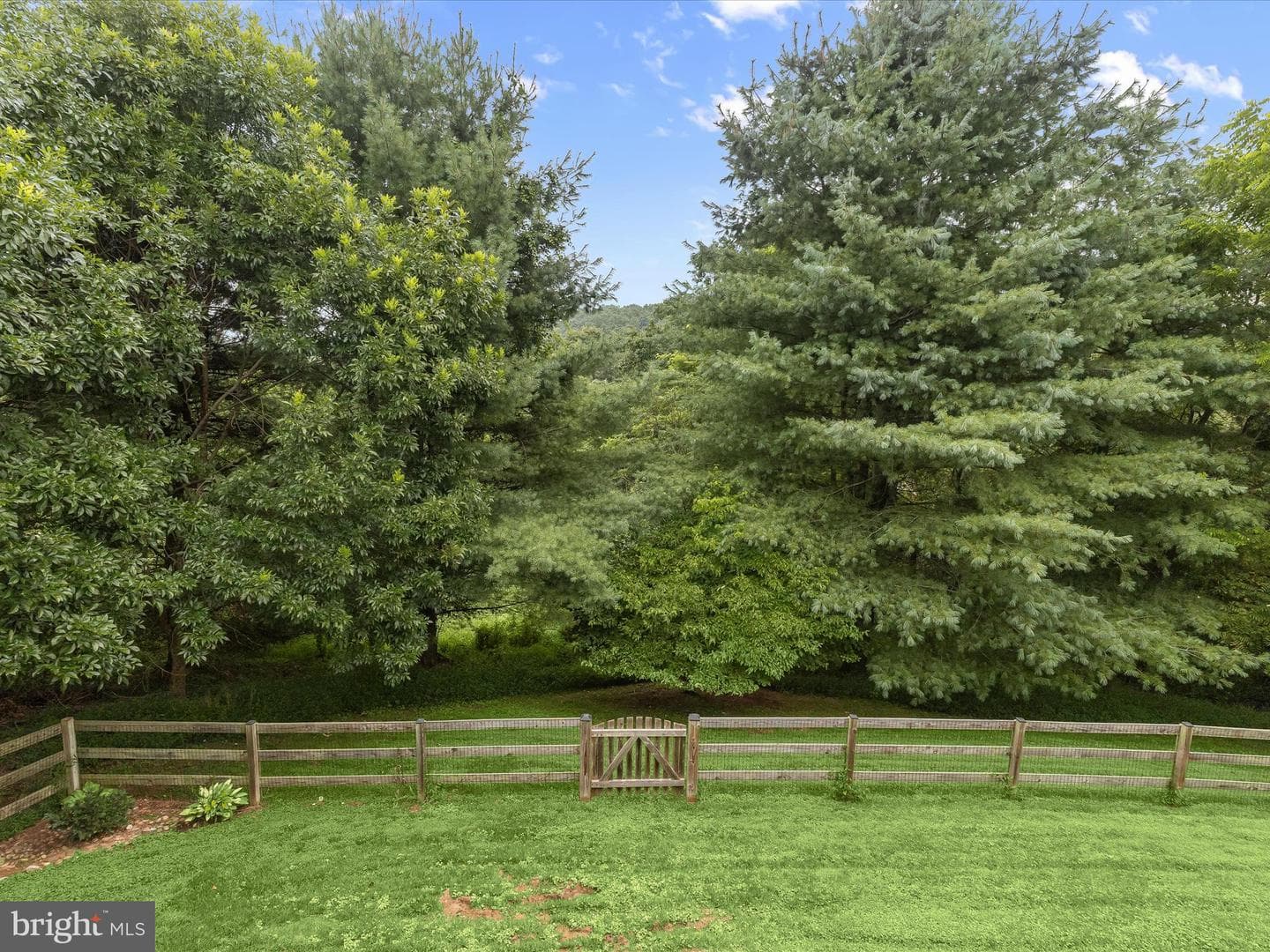216 Riverview Court photo 61