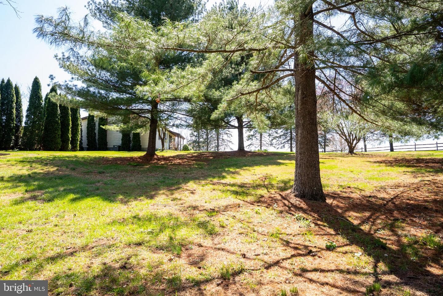 3603 Turkeyfoot Road photo 7