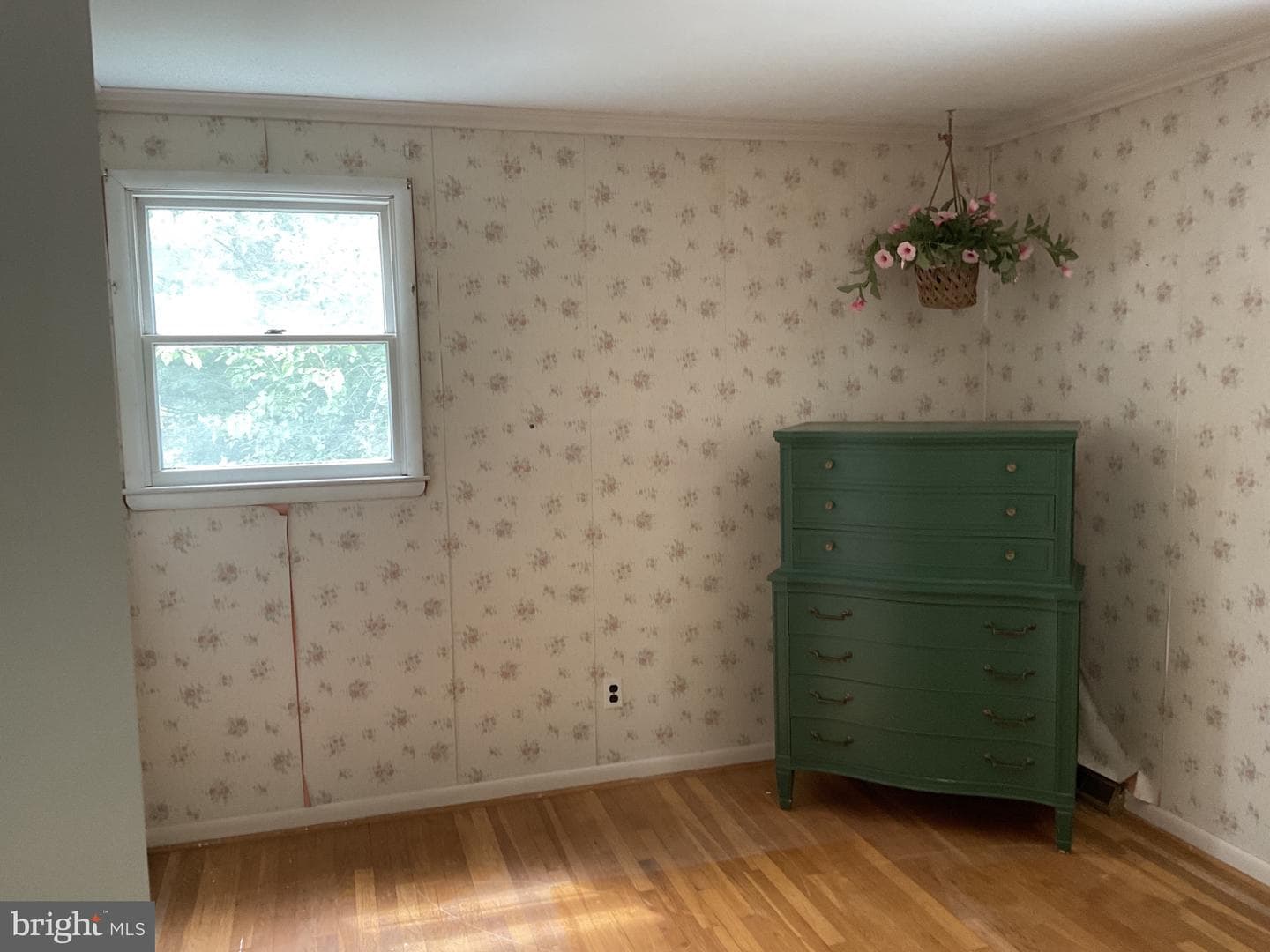 2425 Clydesdale Road photo 25