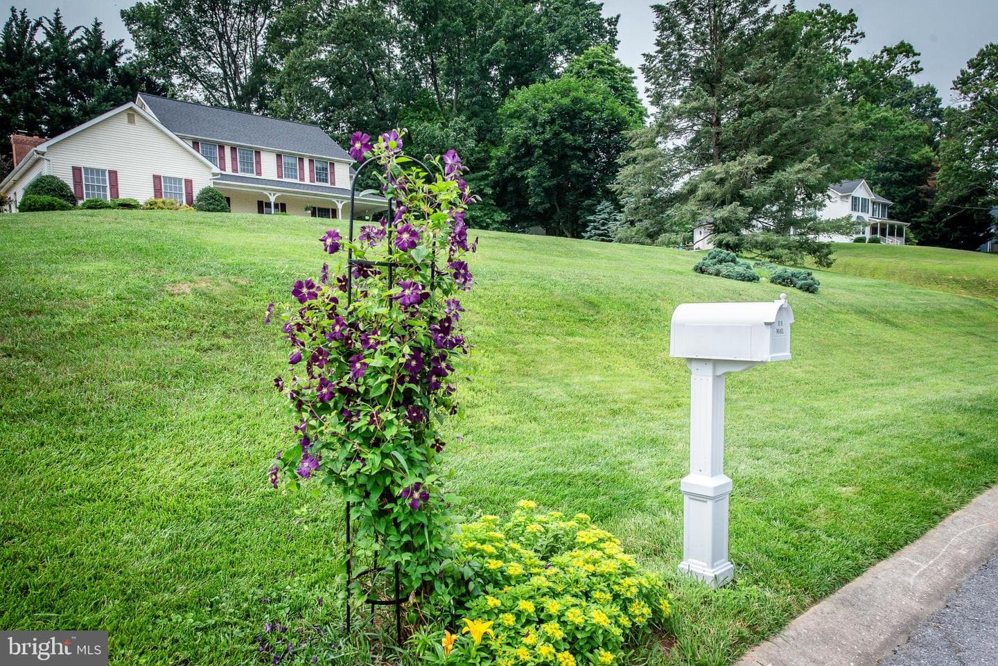 1109 Mint Terrace photo 5