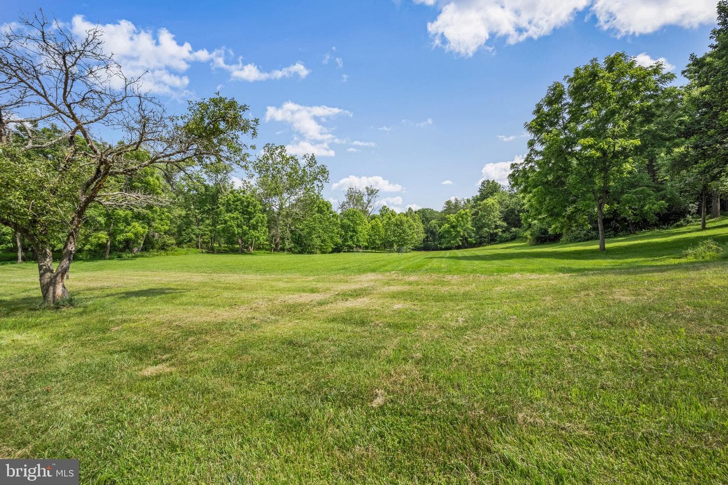 1039 Arnold Road photo 13