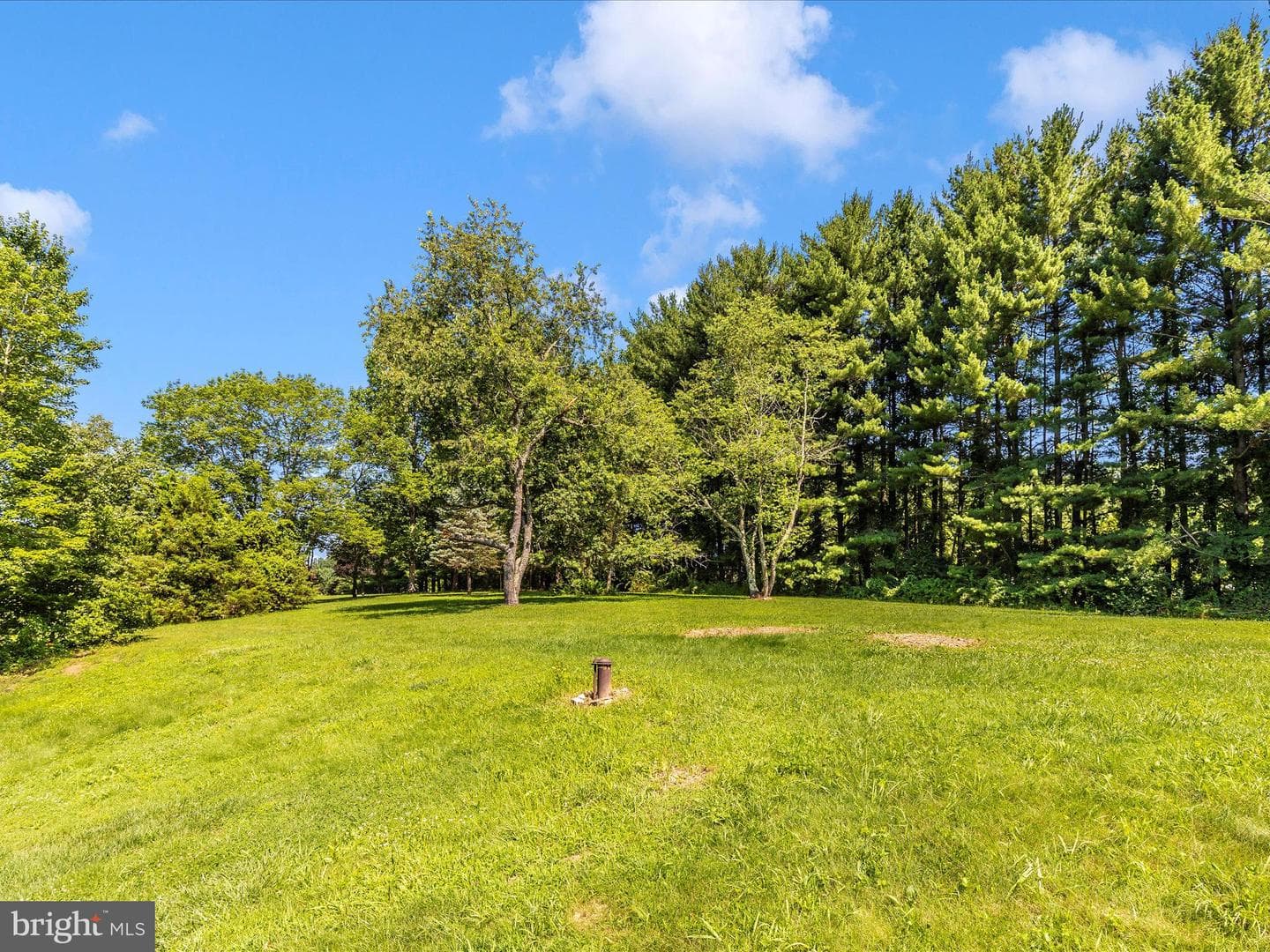 4431 Cherry Tree Lane photo 45
