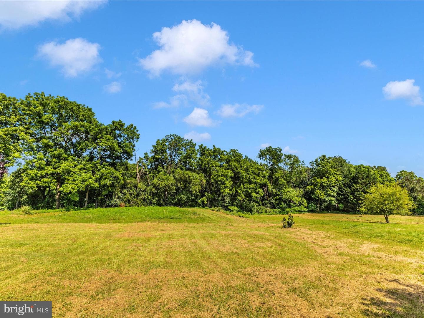 7307 Woodbine Road photo 52