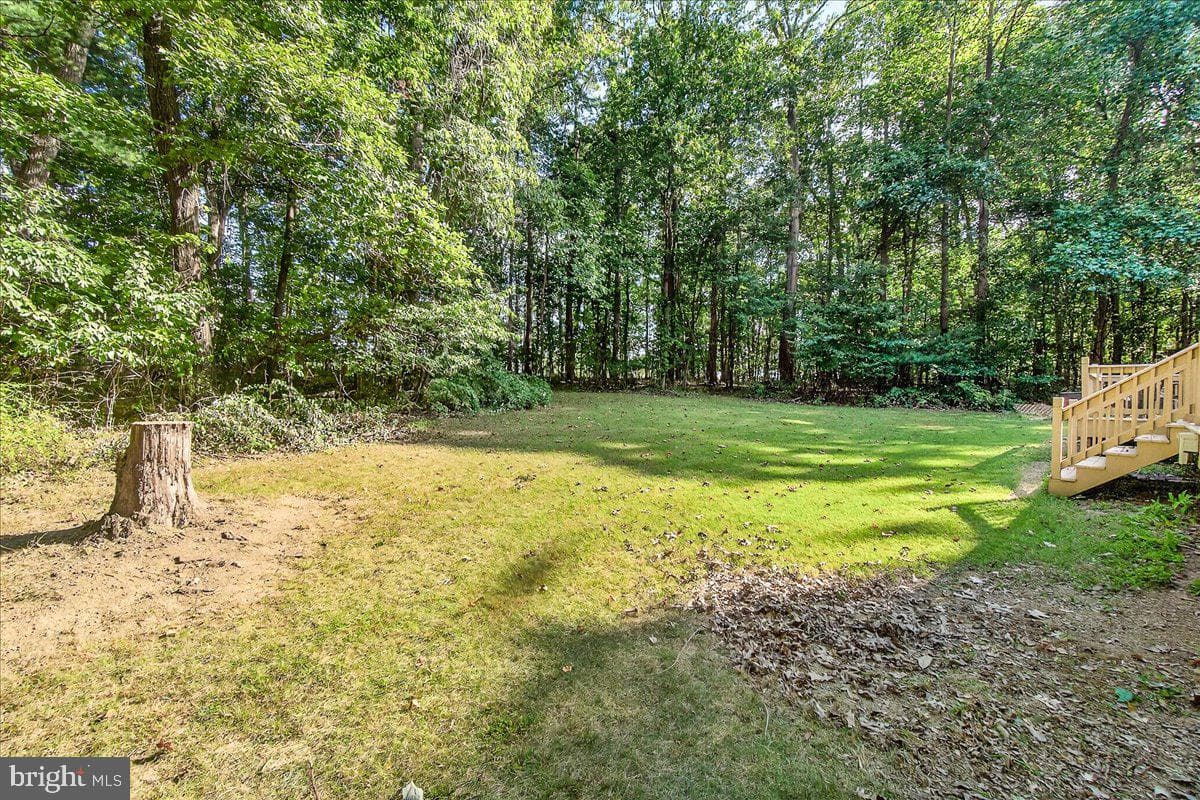355 Nathans Drive photo 46