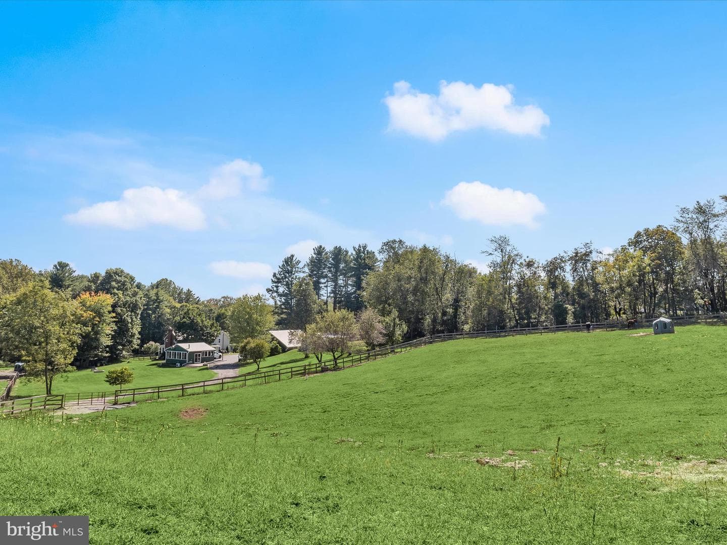 6270 Davis Road photo 69