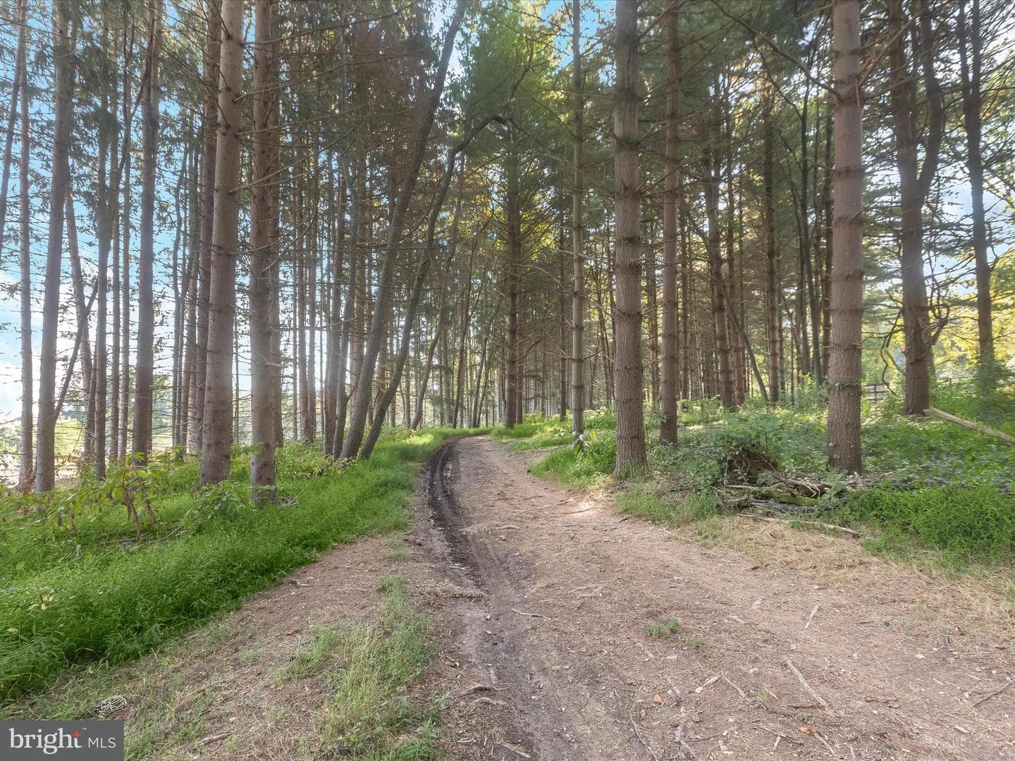 6270 Davis Road photo 72