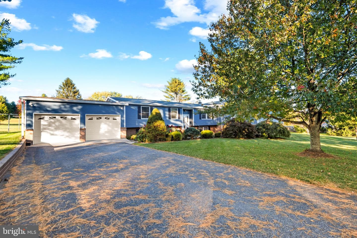 3402 Blueberry Lane photo 4