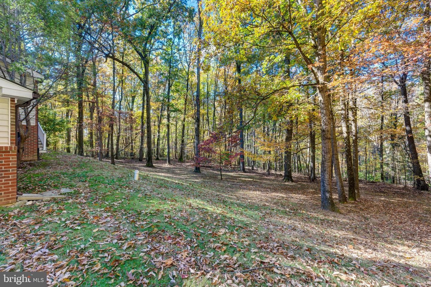 3870 Roop Road photo 43